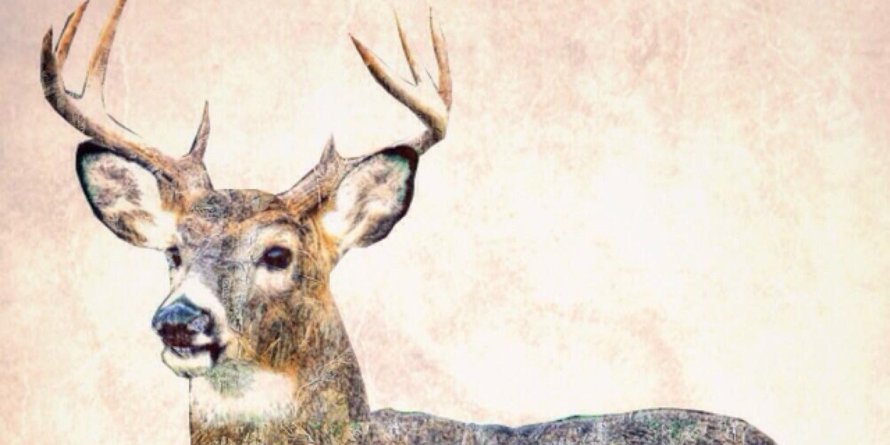 lukeliter's profile banner image