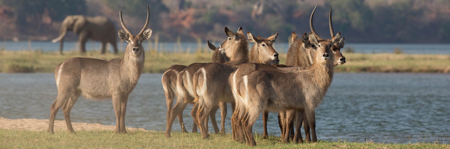 SADC TFCA Network banner