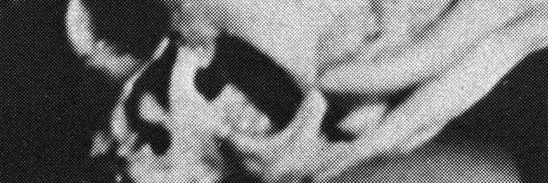 pantheripper's profile banner image