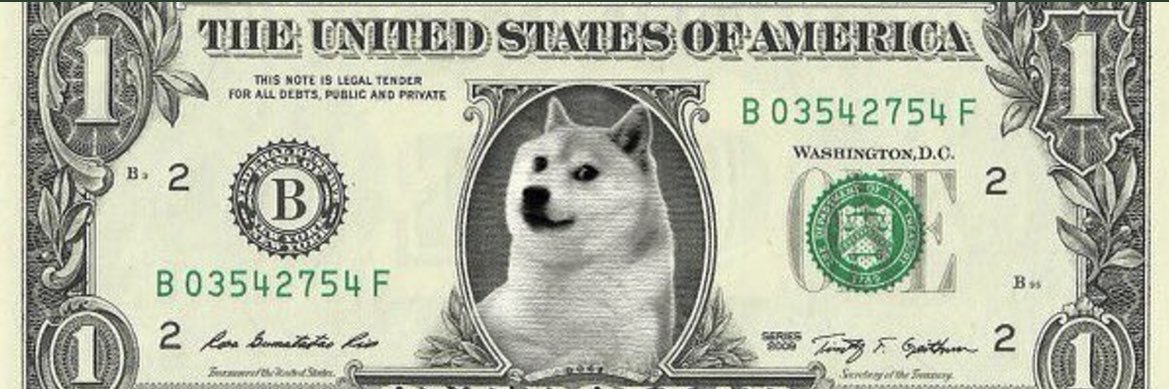 yasothecat's profile banner image