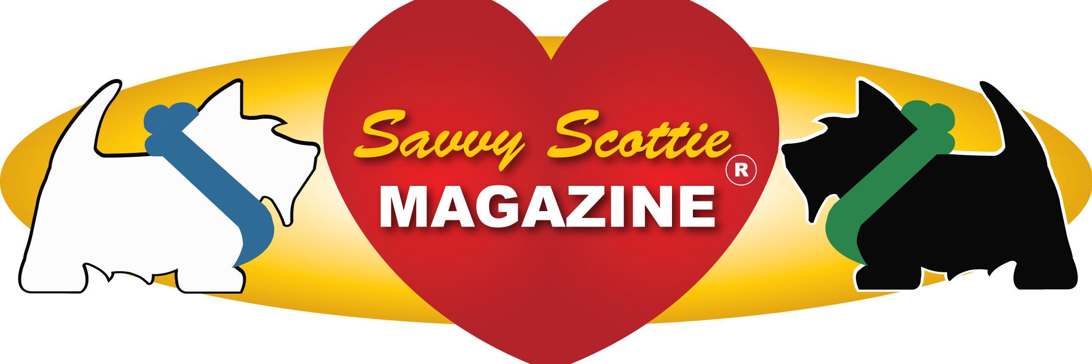 SavvyScottie's profile banner image