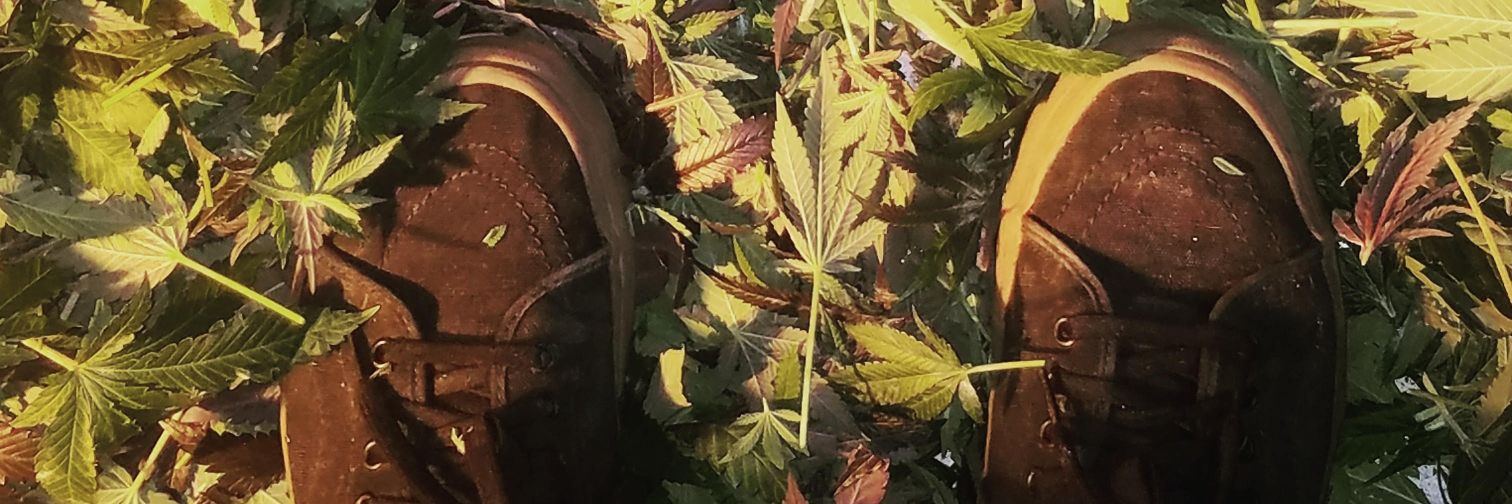 WalqaFlocka's profile banner image