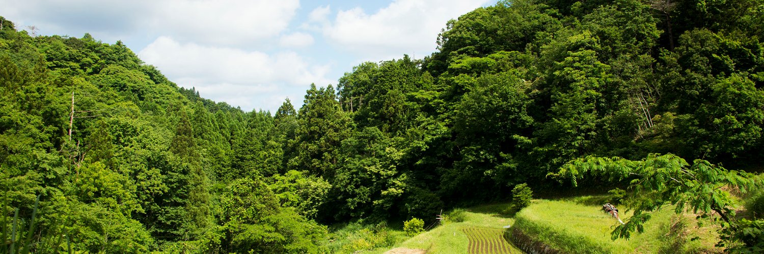 kari_hidepon's profile banner image