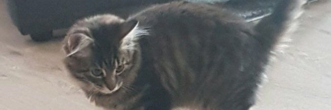 Martinijo2001's profile banner image