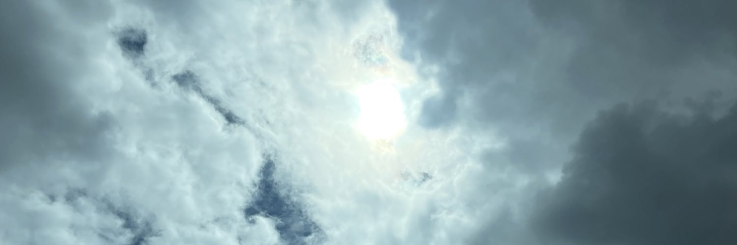 sincerelynot_'s profile banner image