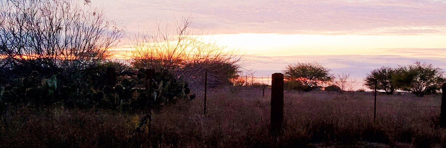 nenanation's profile banner image