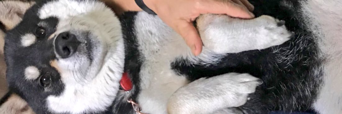 otinosuke0908's profile banner image
