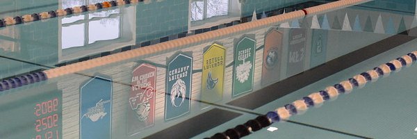 WT_Swimming's profile banner image