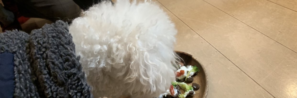 peperonchie's profile banner image