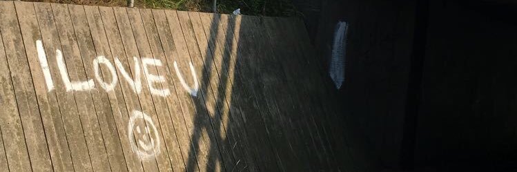 Bay_anax's profile banner image