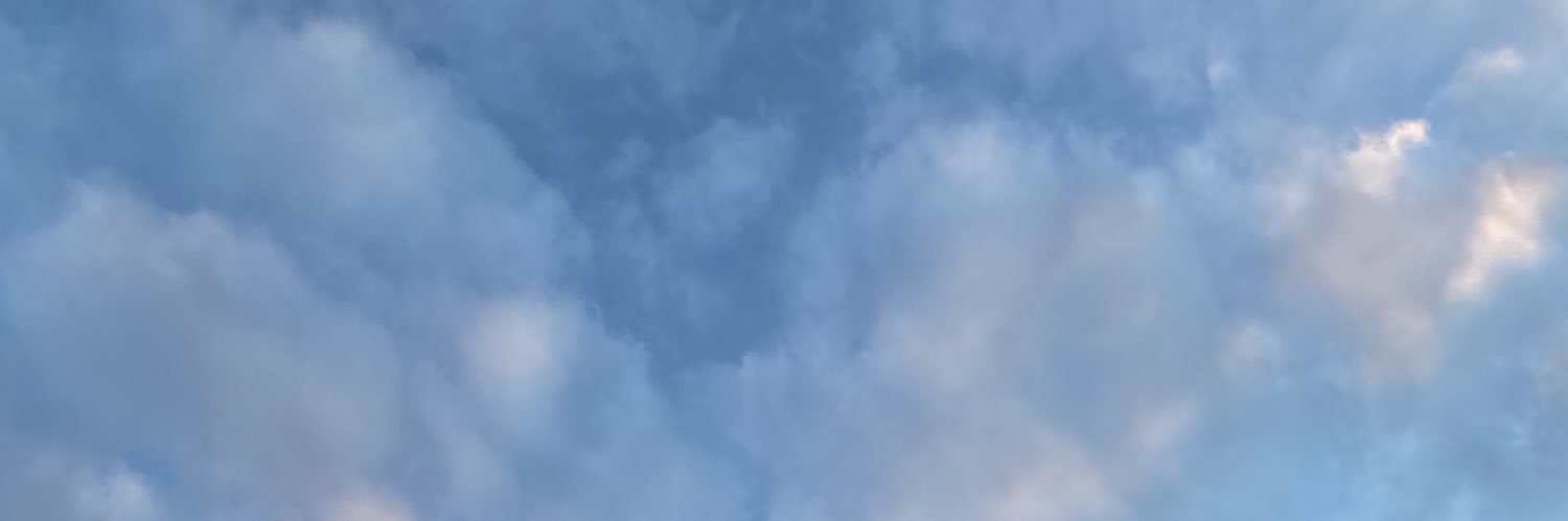 nathaniel_georg's profile banner image