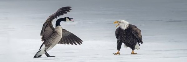 RMakichuk Profile Banner