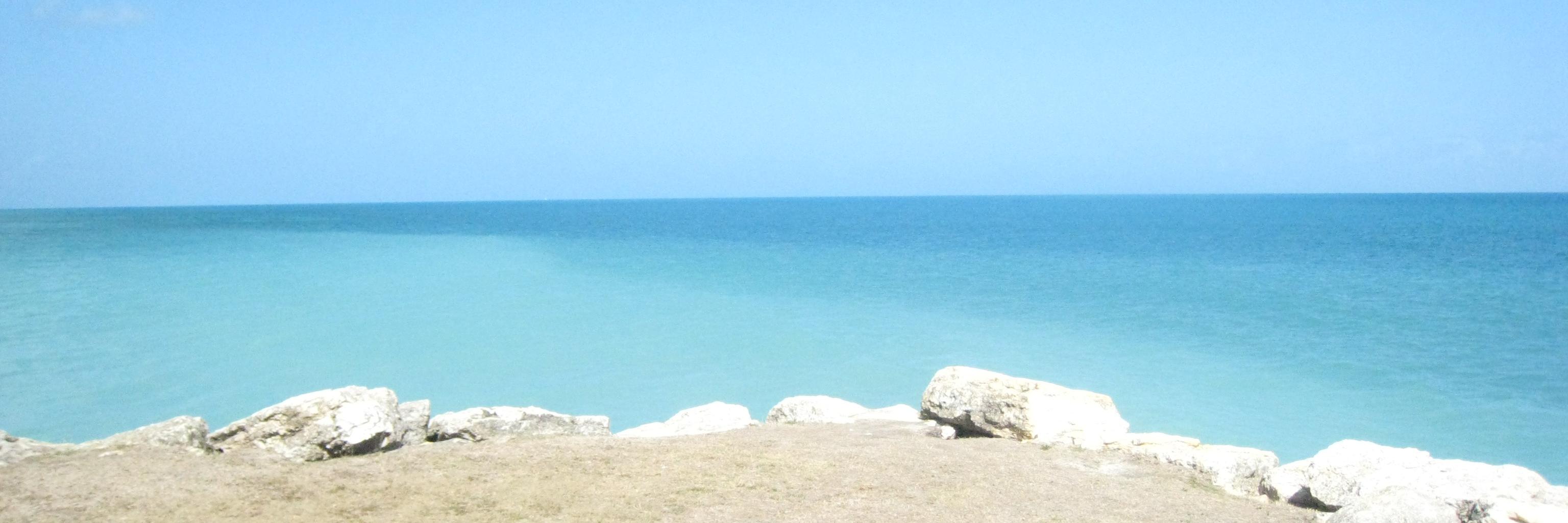 Carryl Pierre banner