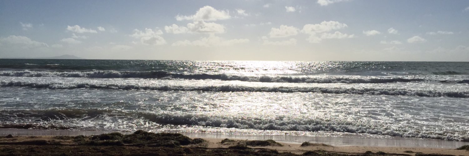 Honey Badger 🍊 banner