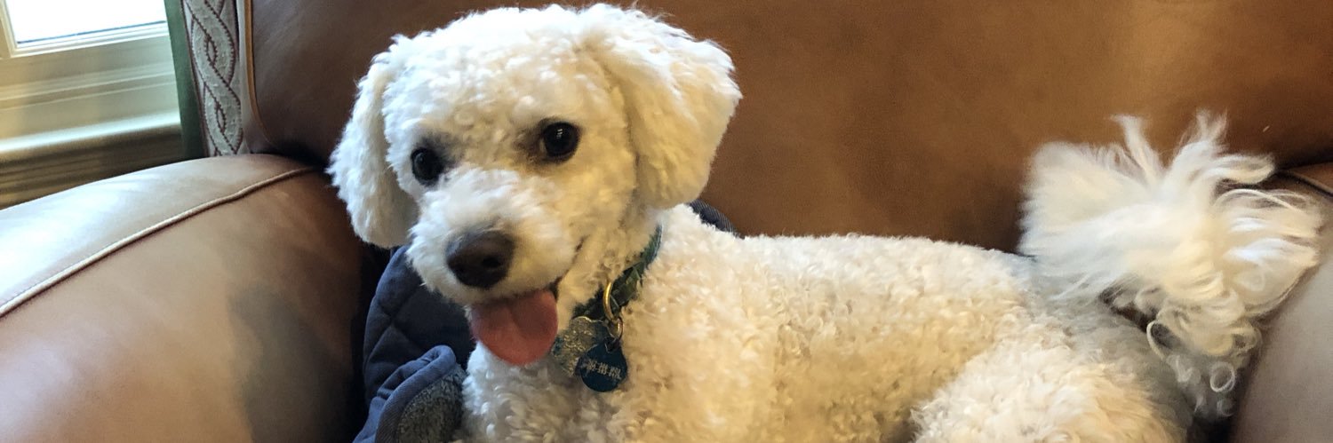 Doovis's profile banner image