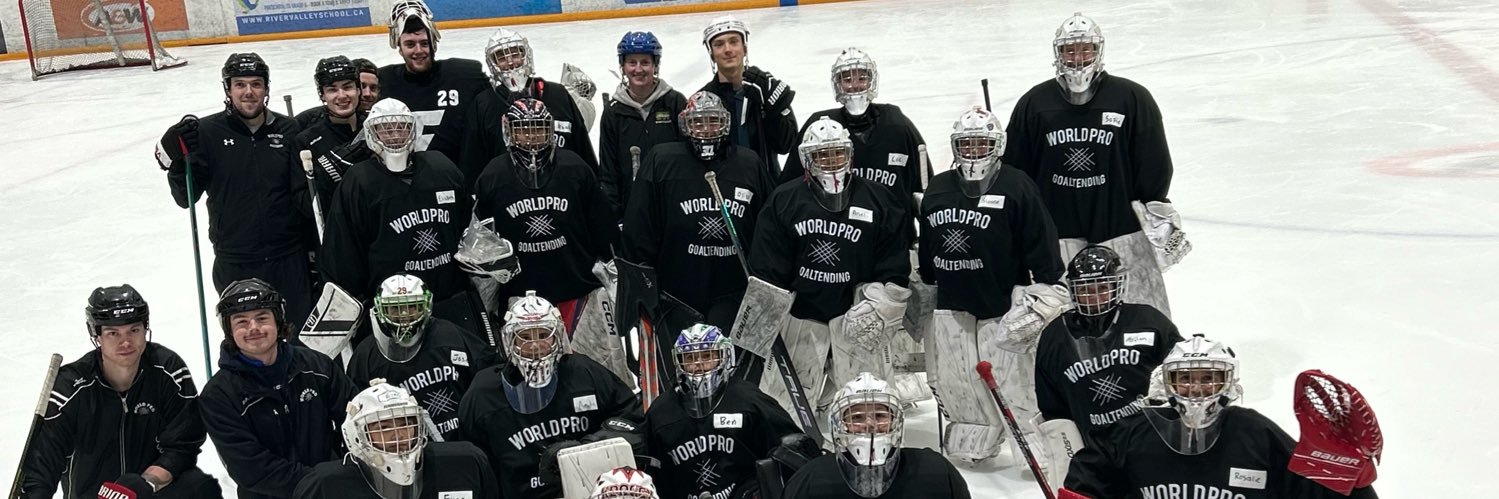 World Pro Goaltending banner