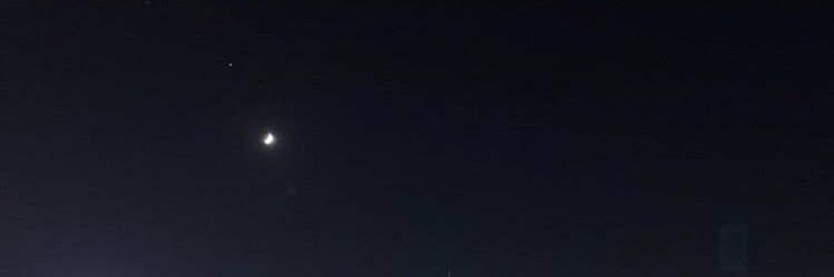 mintia_ha_grape's profile banner image
