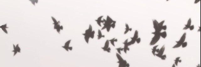Promo4Singers's profile banner image