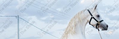 AdGe146's profile banner image