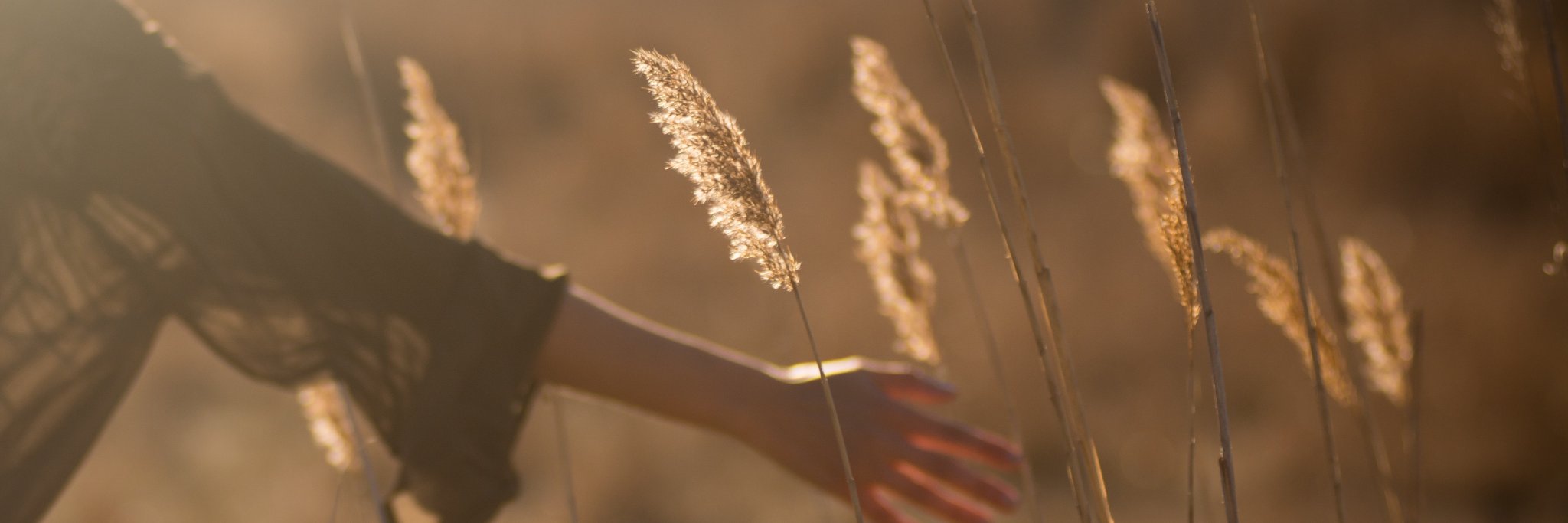 TELWellness's profile banner image