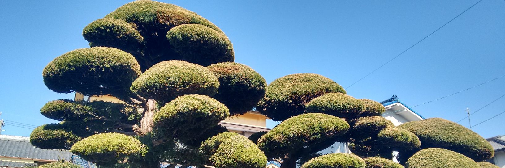 let_def's profile banner image