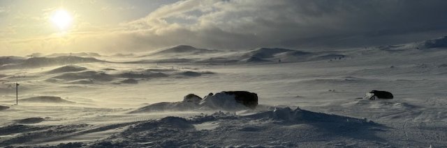 MartinEssunger's profile banner image