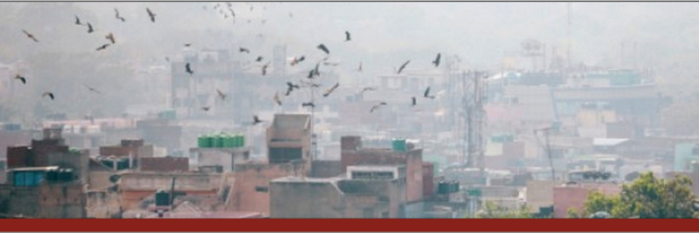 DelhiAirOrg's profile banner image
