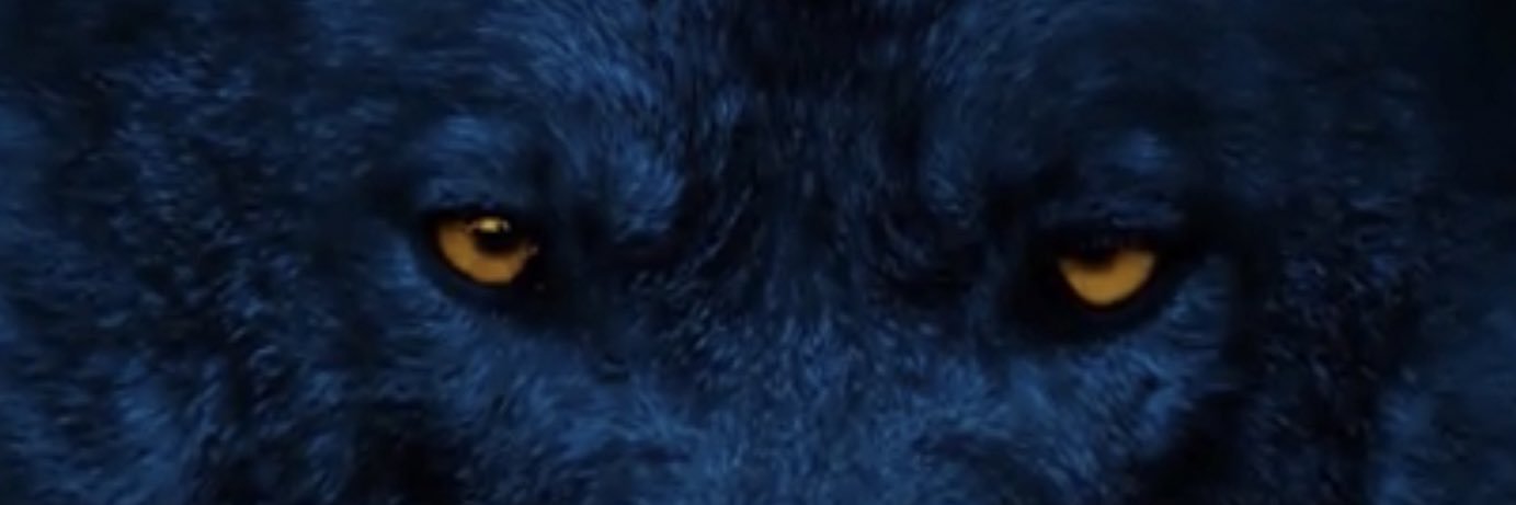 xmarohex's profile banner image