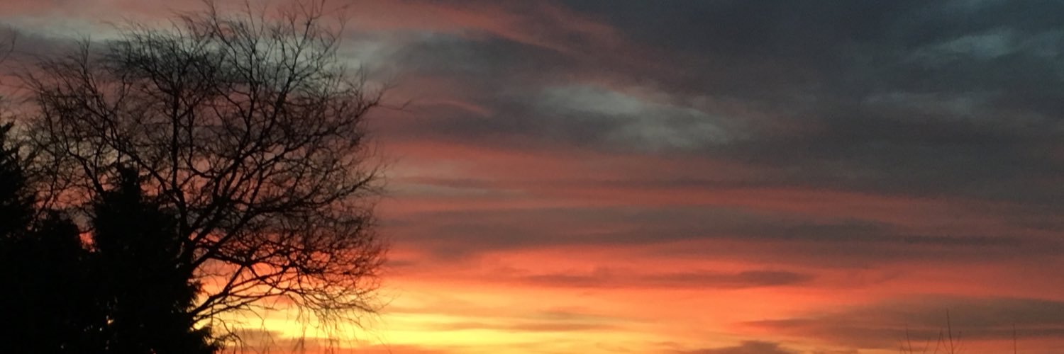 JoWebb_Biz's profile banner image