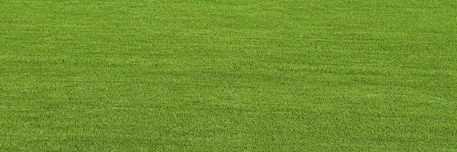 victorianpolo's profile banner image
