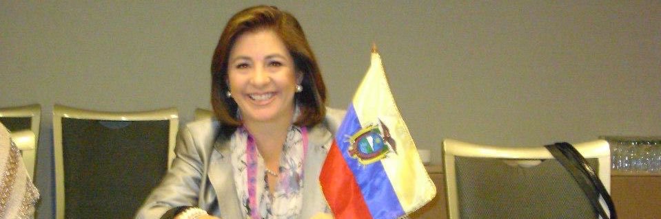 alarcon_lula's profile banner image