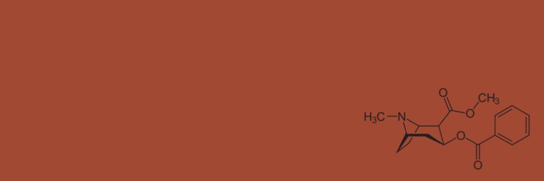 Dom 🇵🇸 banner