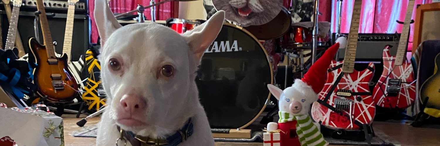 staceysrad's profile banner image