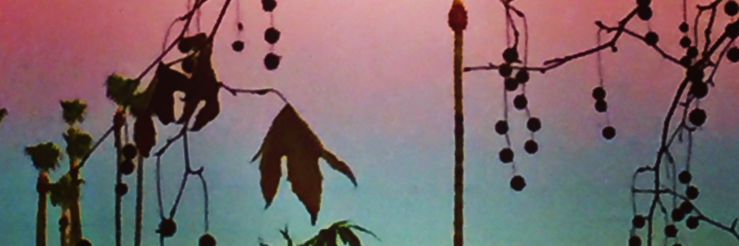 PSMartiniFest's profile banner image