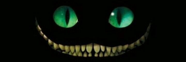 francojguzman's profile banner image