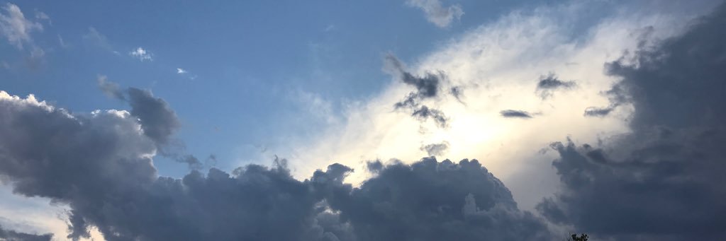 CrouchDixie's profile banner image
