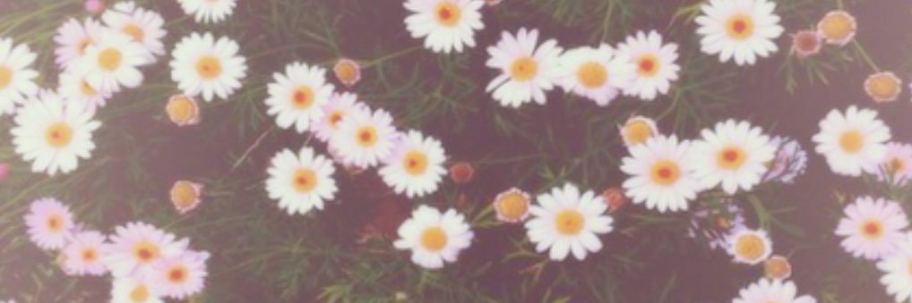 loveelinnds's profile banner image