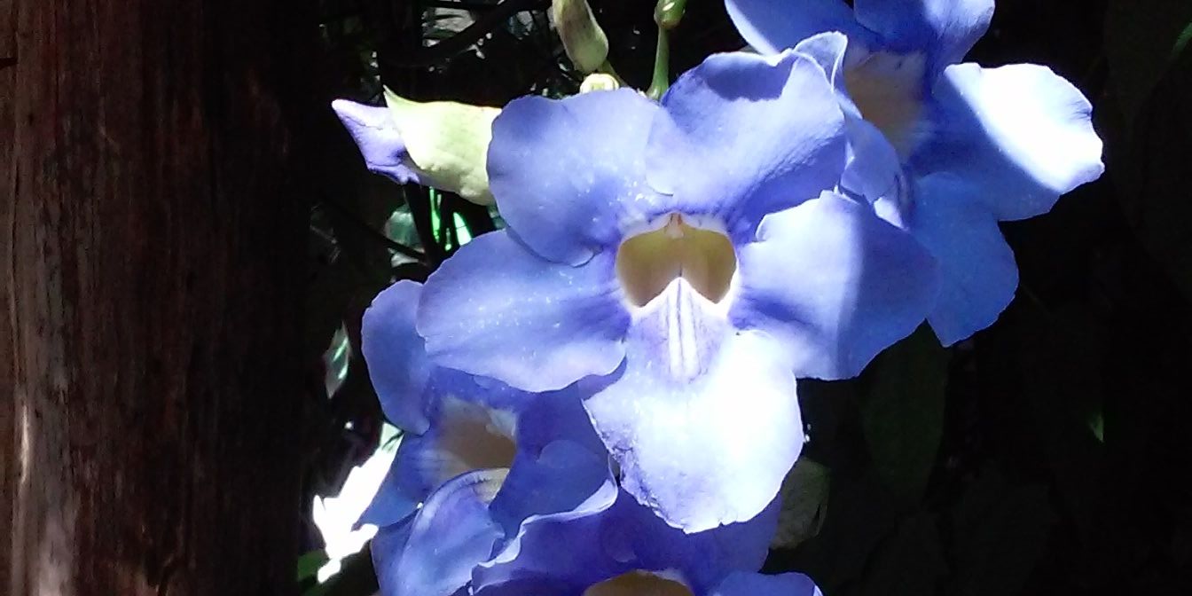 chrisbentley281's profile banner image