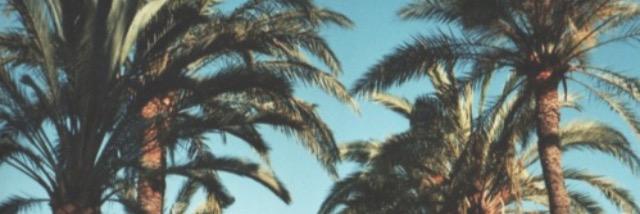 jmullaaa's profile banner image