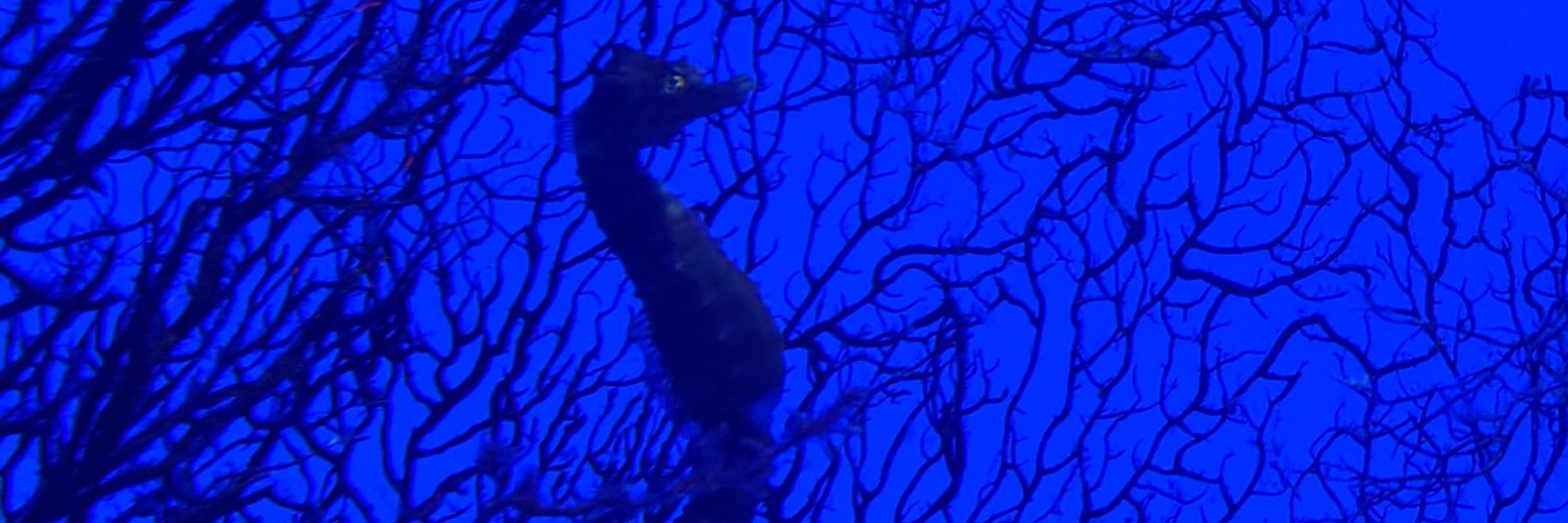 3er64's profile banner image