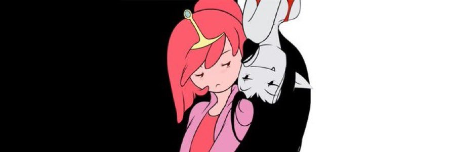 crazy cat lady banner