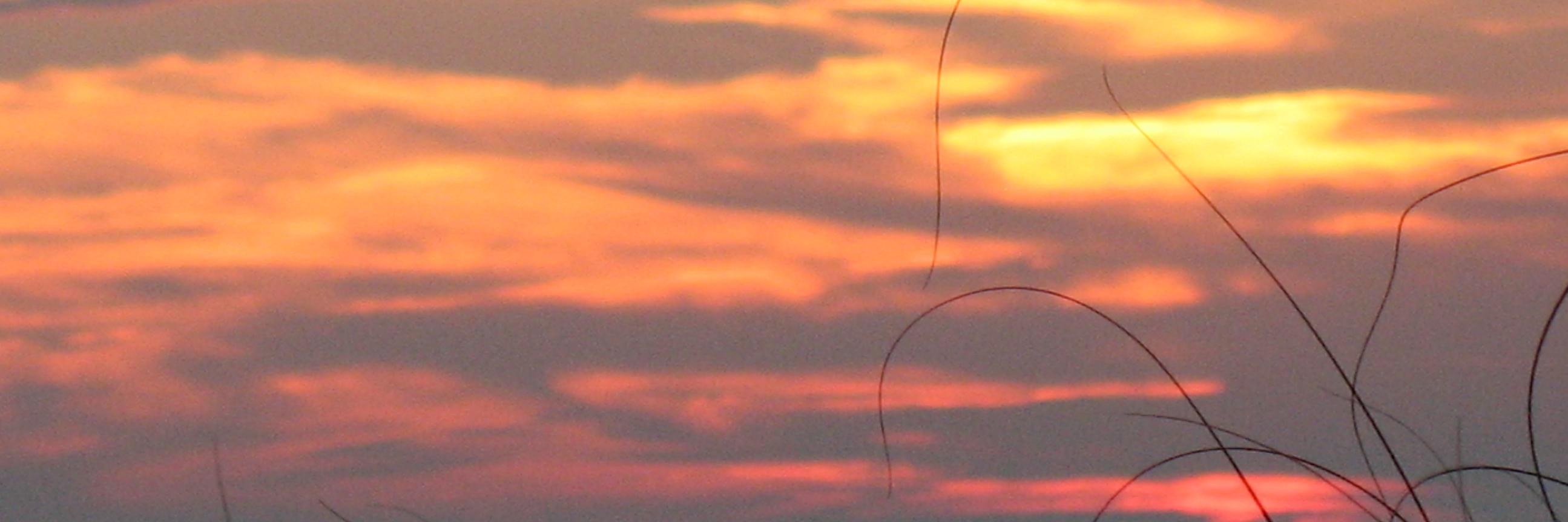 kevthinks's profile banner image