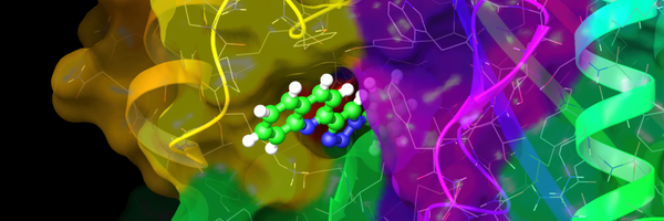 BiophysicsGuy Profile Banner