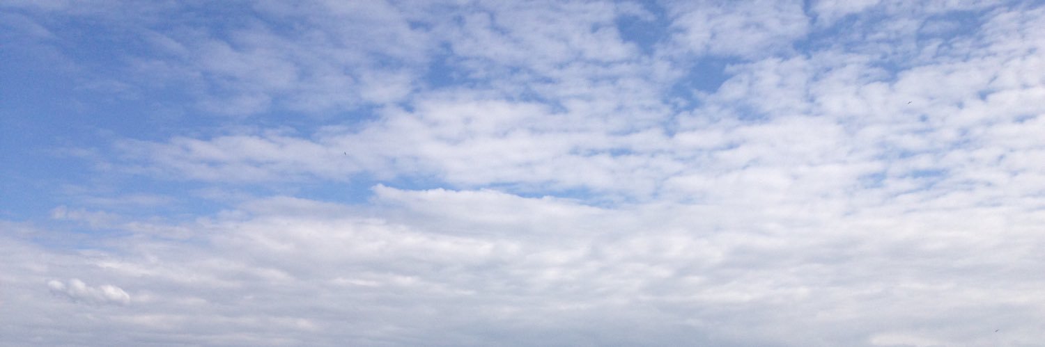 AnnaDranchuk's profile banner image