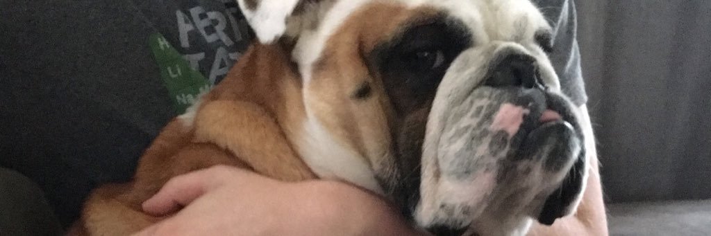 ThatShitsKraee's profile banner image