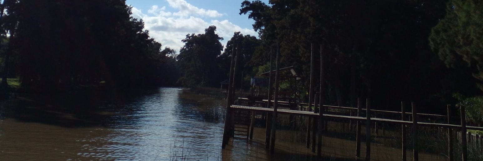mamareco's profile banner image