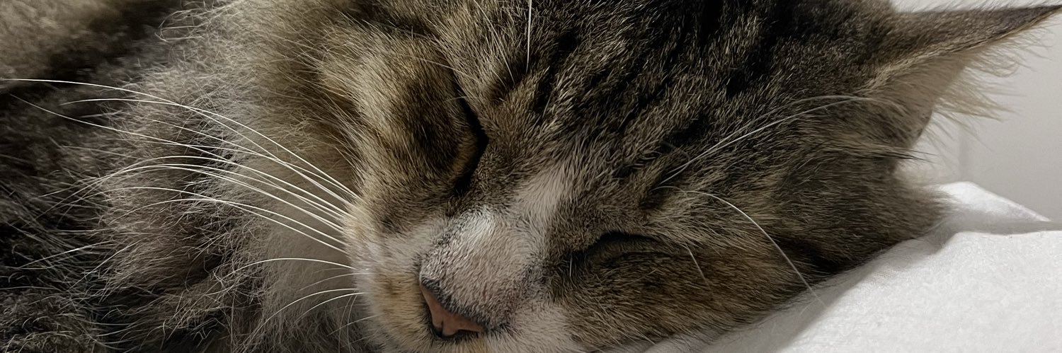 juliamndess's profile banner image