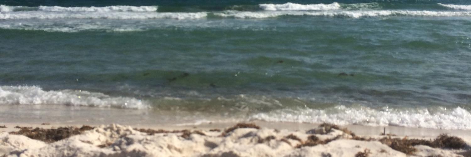 Erin Baldwin Tanner banner