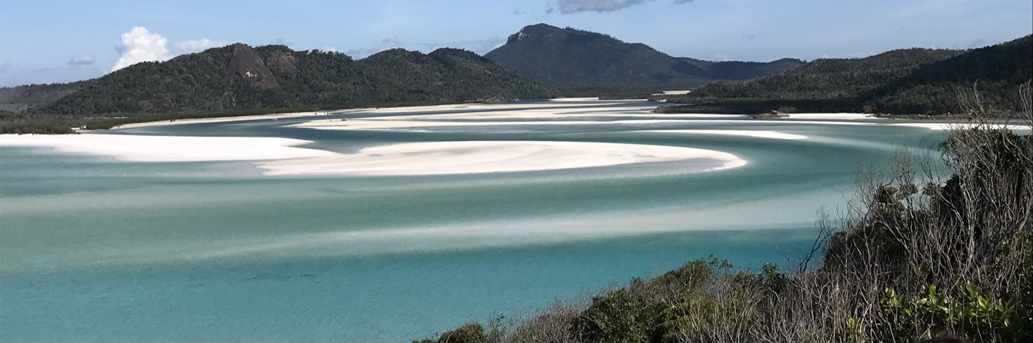 Rachael Collins banner