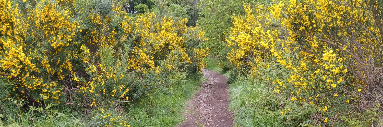 Rhona Ramsay she/her banner